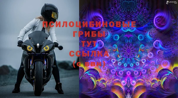 PSILOCYBIN Верхнеуральск