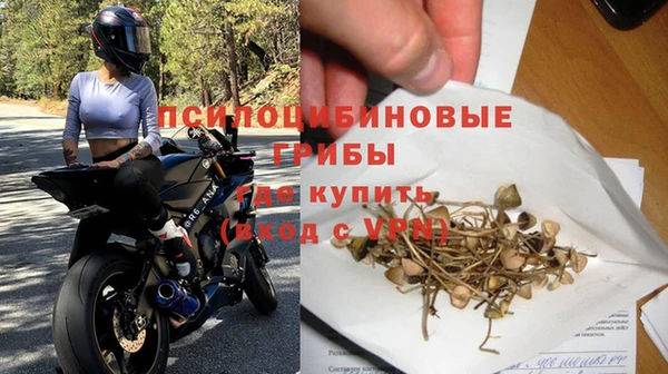 сатива Верея