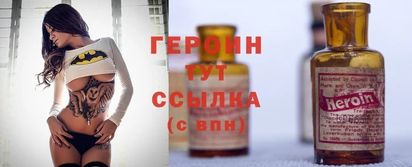 сатива Верея