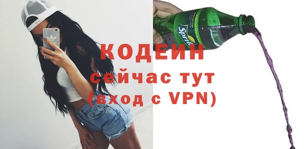 сатива Верея