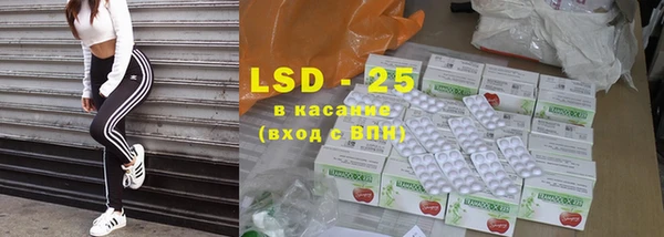 ПСИЛОЦИБИНОВЫЕ ГРИБЫ Каменка